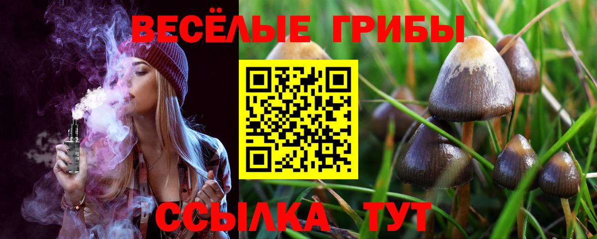 Галлюциногенные грибы прущие грибы Кемерово
